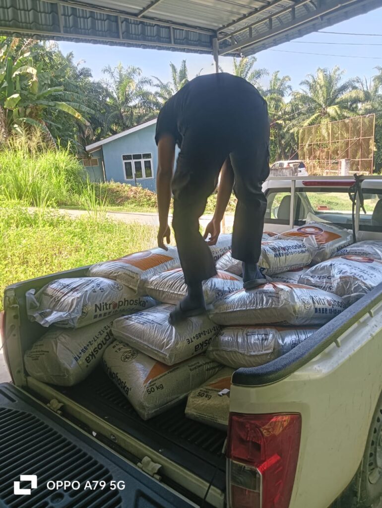 Worker loading fertilizer supply for rubber industry delivery, Daddy Farm Perak, Ipoh.