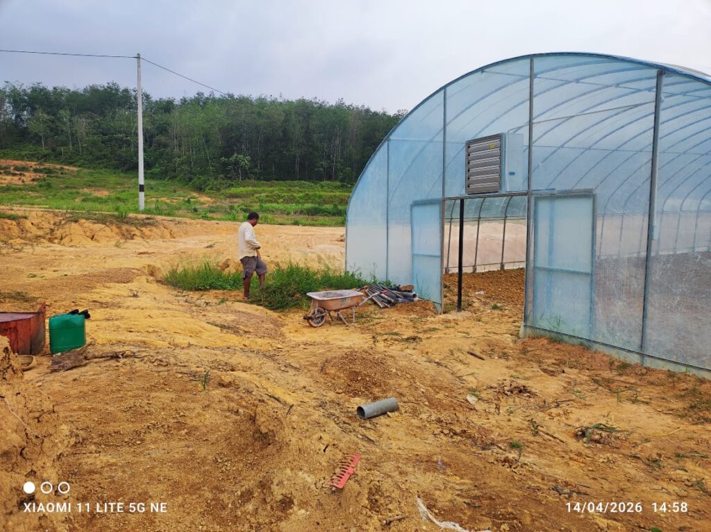 Farmer standing beside newly installed polytunnel greenhouse structure by Daddy Farm in Perak.
